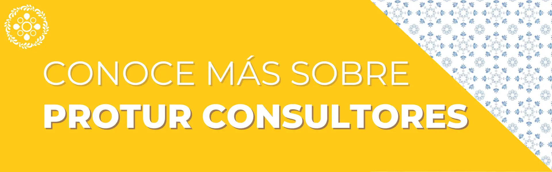 Agencia de Marketing PROTUR Consultores - Inicio | Especialistas en redes sociales y creación de contenidos